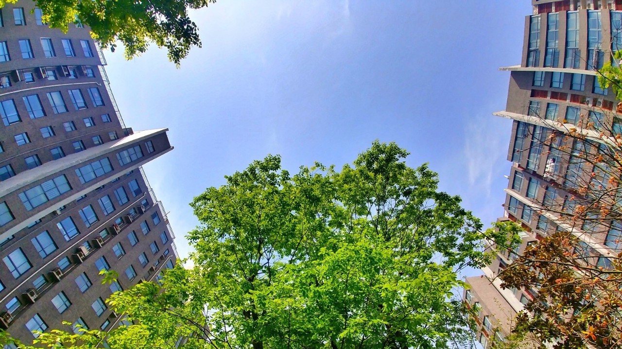 徐州茅村的GDP_徐州茅村医院