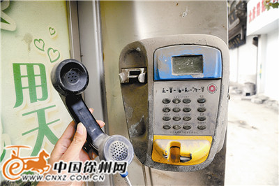 徐州新闻 要闻 > 正文     现象  ic卡电话亭变"野广告"专栏    上