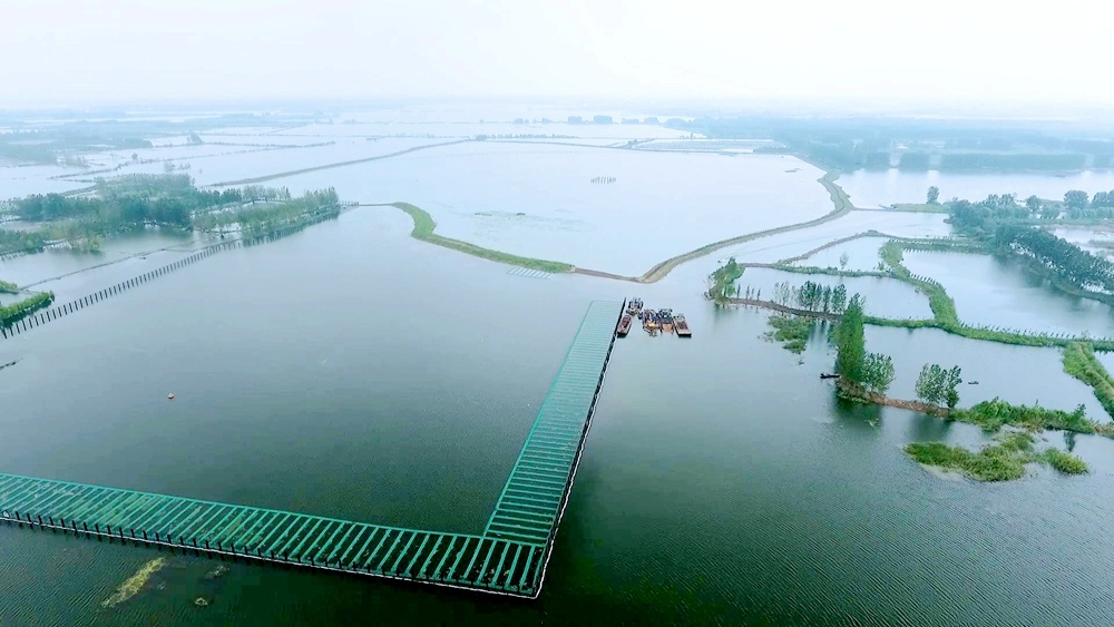 沛县微山湖湖西水源地一级保护区全貌.
