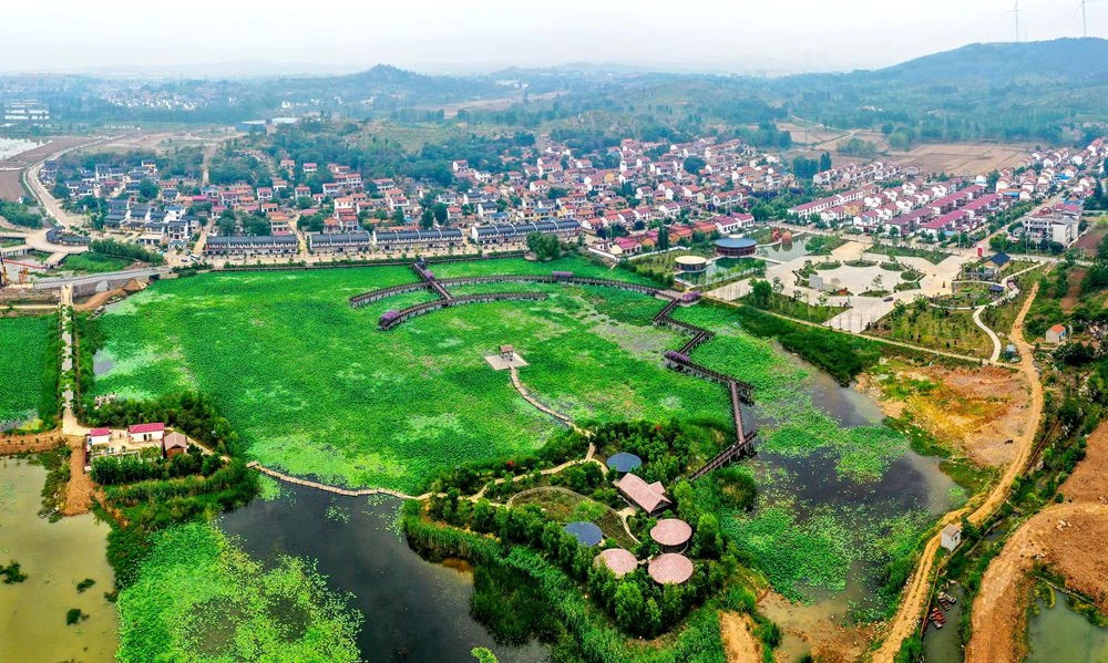 荒坡焕发新活力徐州铜山走出黄河故道沿线现代化农业发展新路径